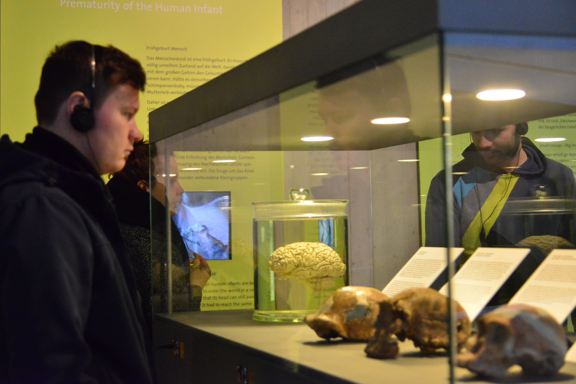 Neandertalmuseum, Januar 2017 2