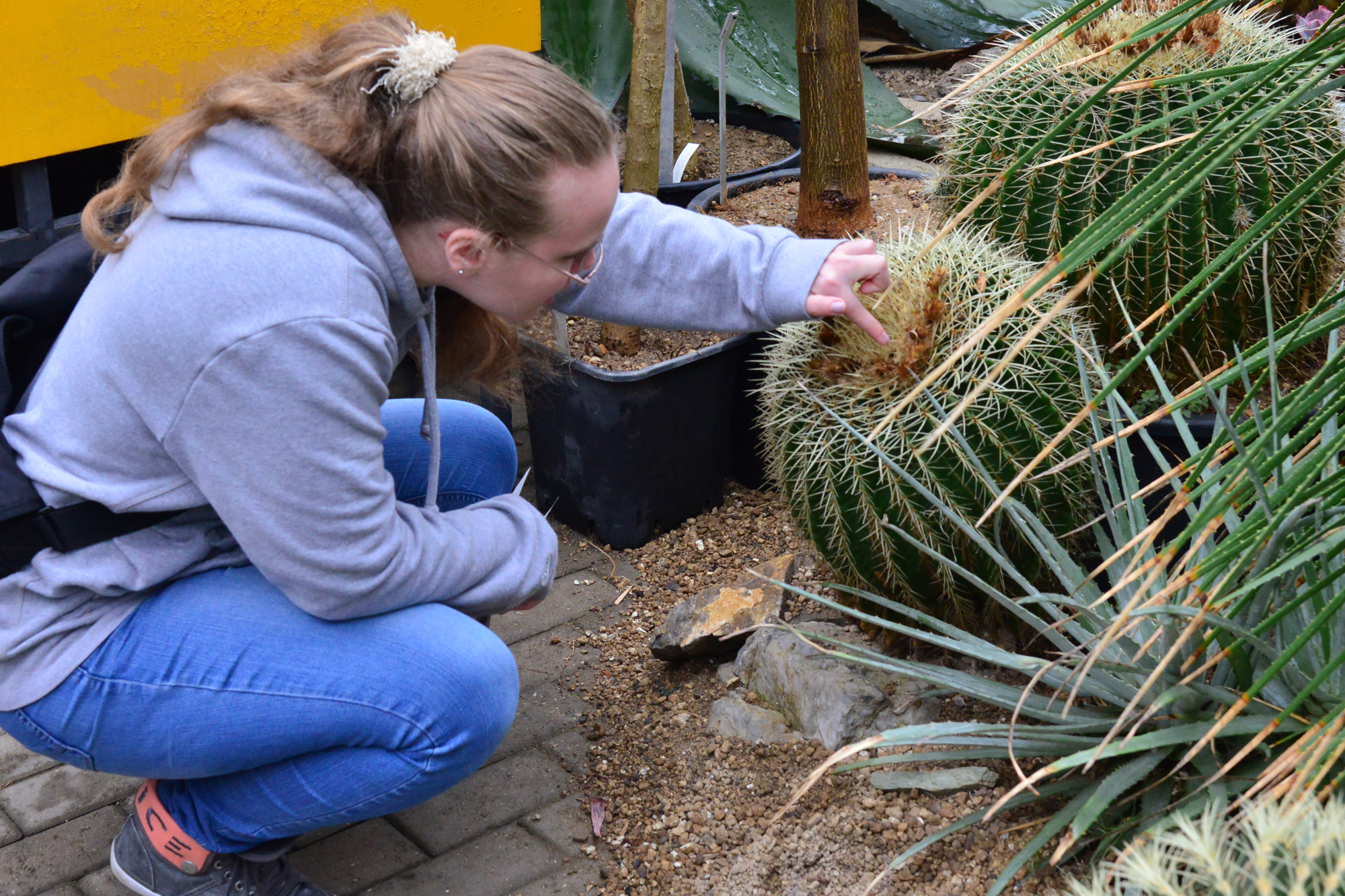 Exkursion Botanischer Garten der Ruhr-Universität Bochum 3