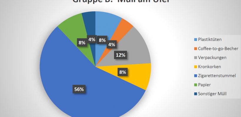 Grafik Plastikmüll